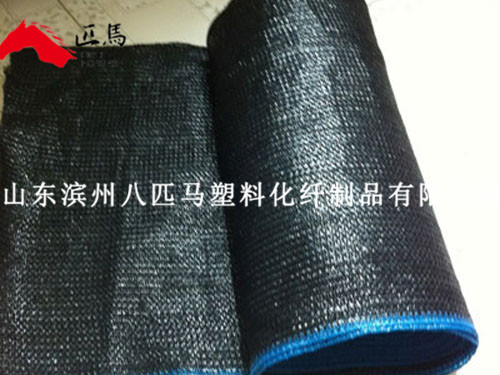 完美世界竞技平台